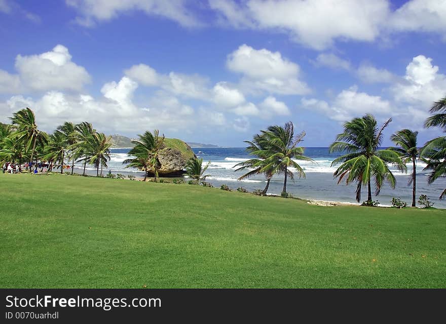 The beach at Bathsheba, Barbados