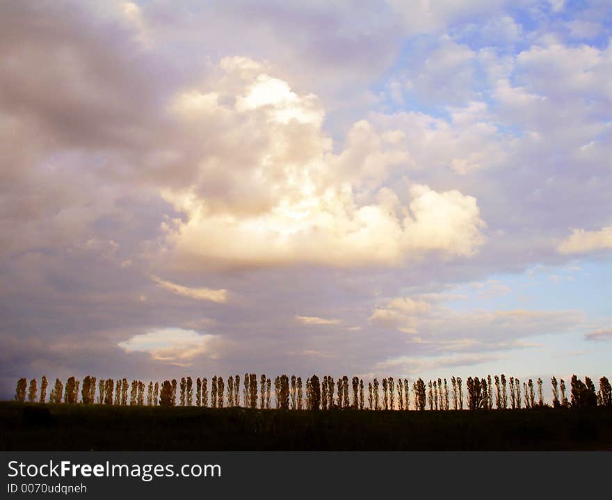 Summer landscape in West Ukraine