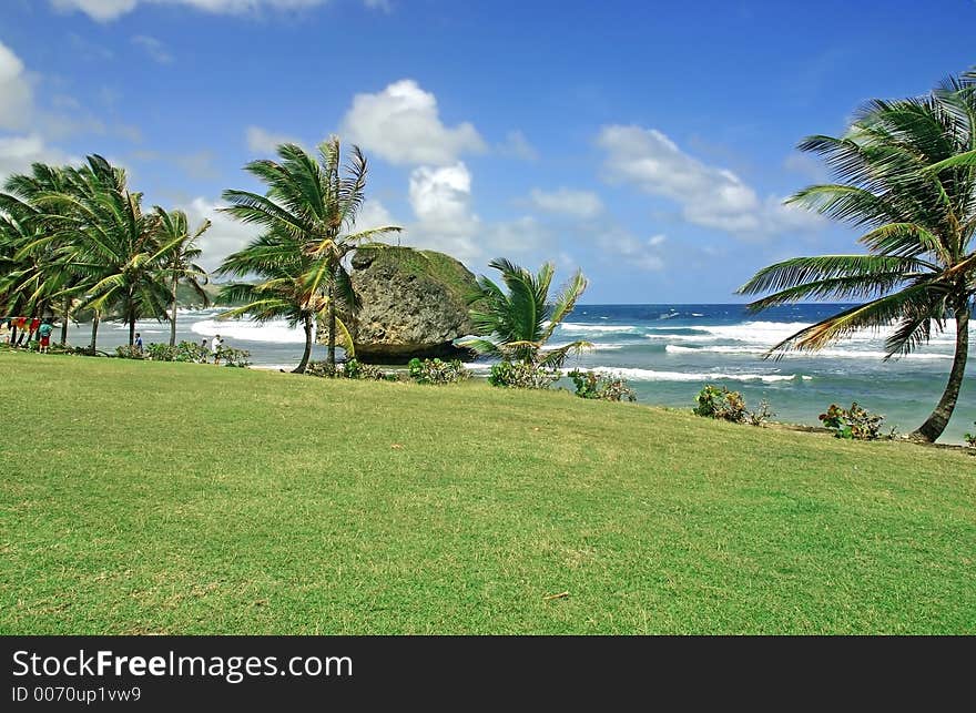 The beach at Bathsheba, Barbados. The beach at Bathsheba, Barbados