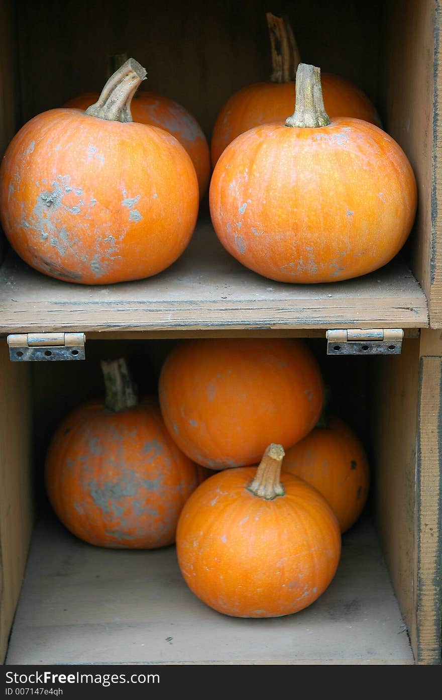 Halloween pumpkins