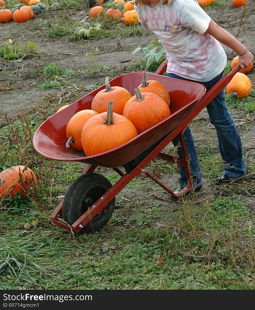 Halloween Pumpkins