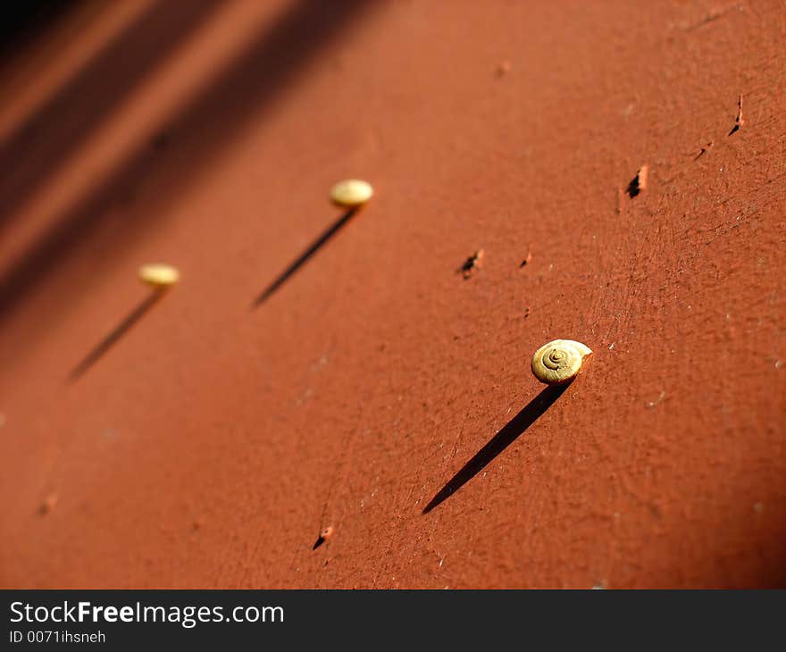 Snails on red temple wall