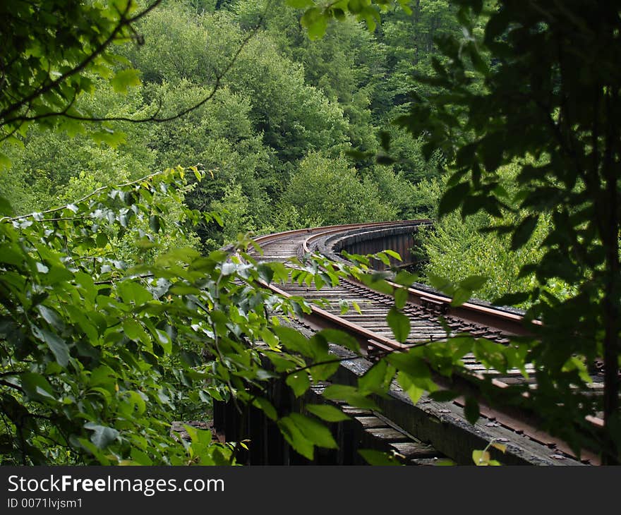 Railroad track curving into distance through trees. Railroad track curving into distance through trees