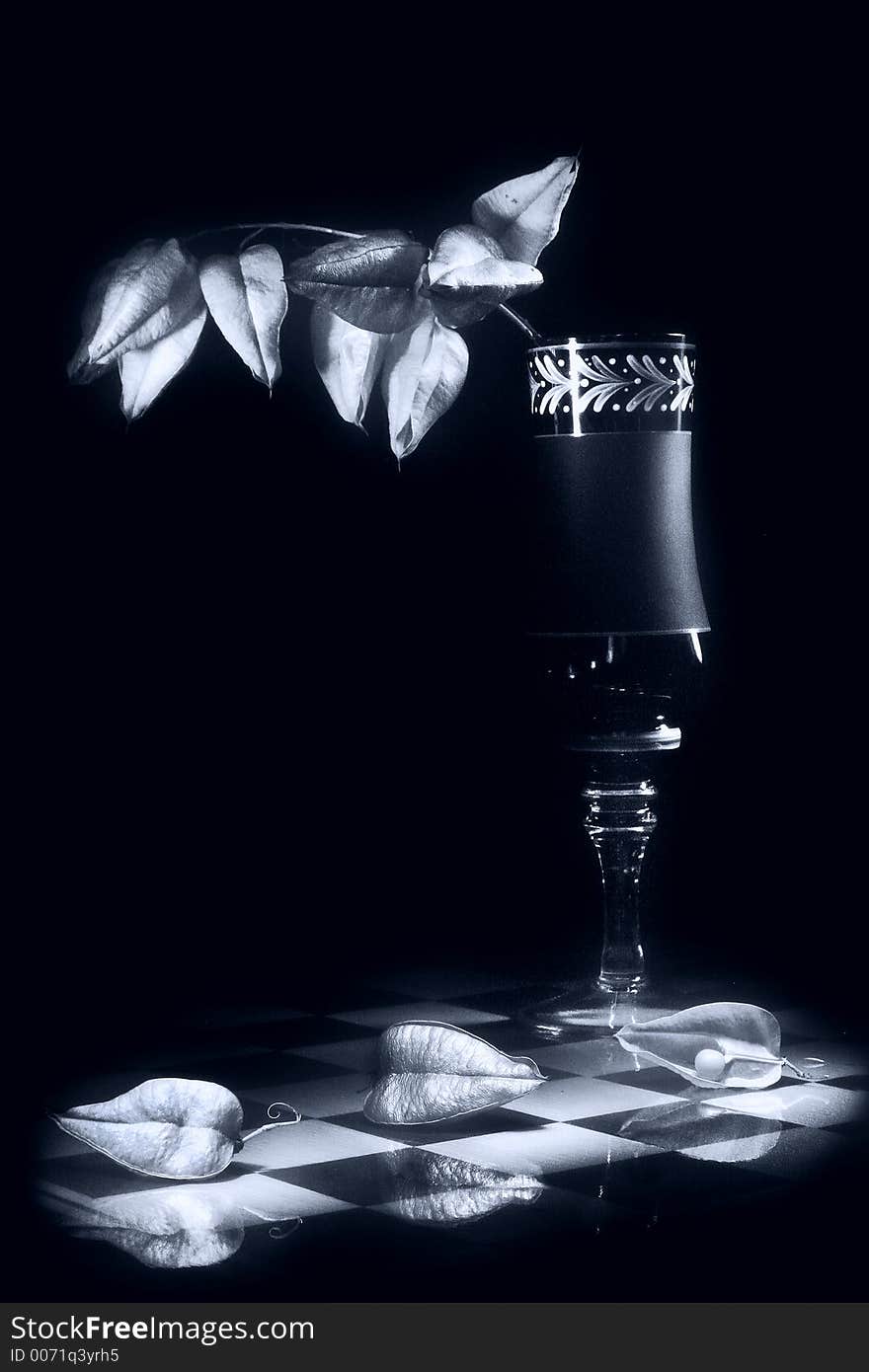 Still-life.Silver Reflection