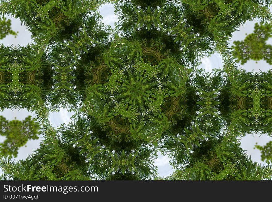 Wheel Of Shrubs