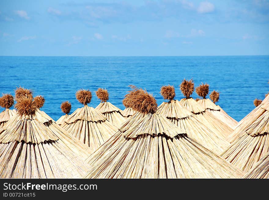 Sea Sun Umbrellas