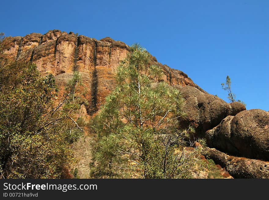 Taken at beautiful Pinnacles National Park, California. Taken at beautiful Pinnacles National Park, California