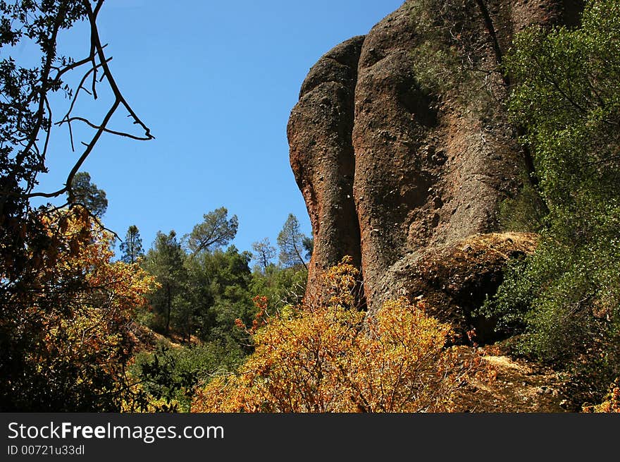 Taken at beautiful Pinnacles National Park, California. Taken at beautiful Pinnacles National Park, California