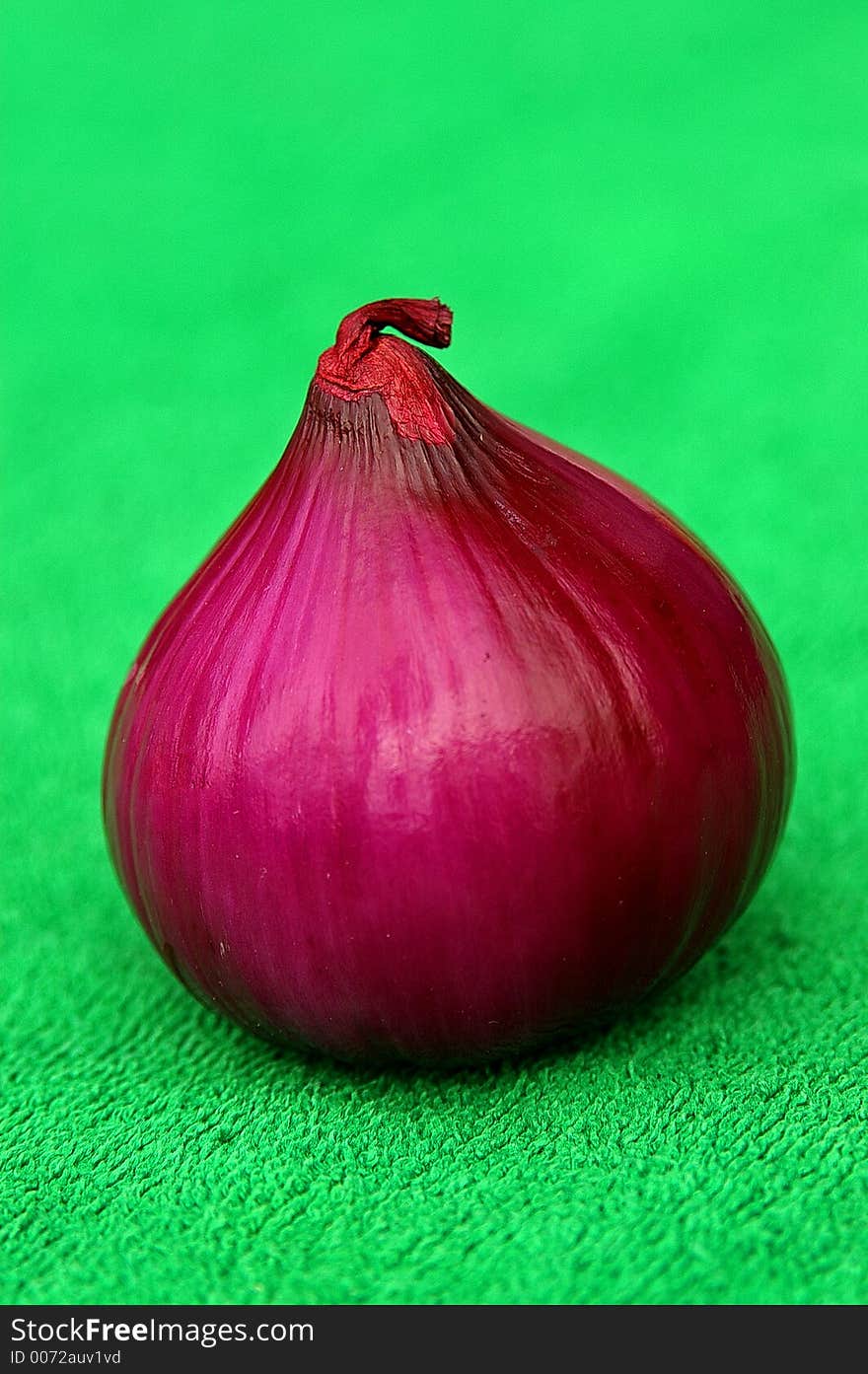 Red Onion Zoomed