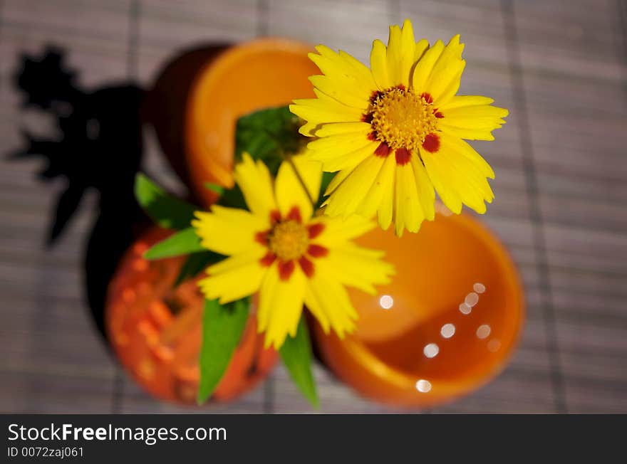 Yellow flowers on a garden table. Yellow flowers on a garden table.