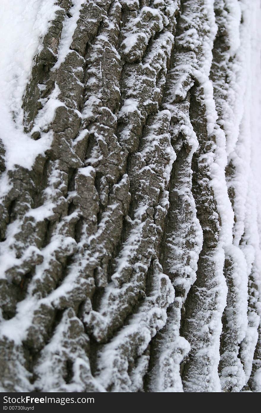 Tree trunk in snow