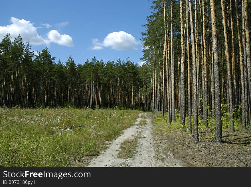 Road in countryside