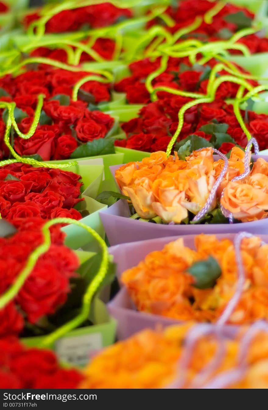 Colorful roses