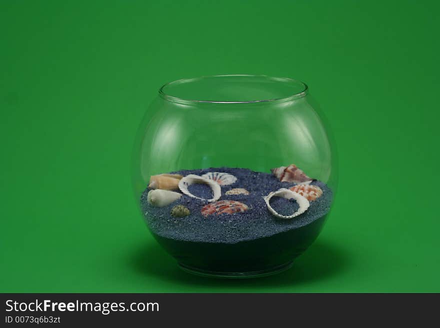 Isolated sea shell in glass jar. Isolated sea shell in glass jar