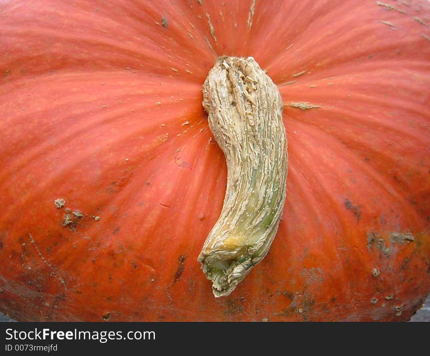 Red Pumpkin