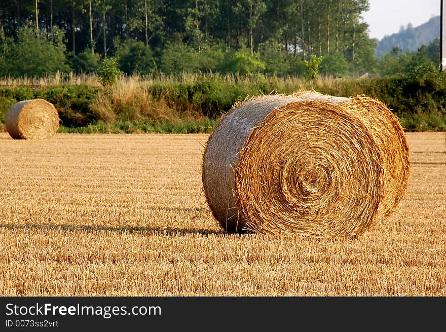 Bundles of straw