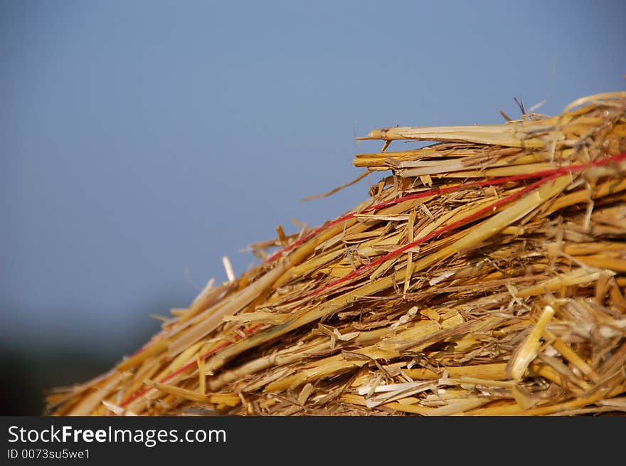 Straw and sky