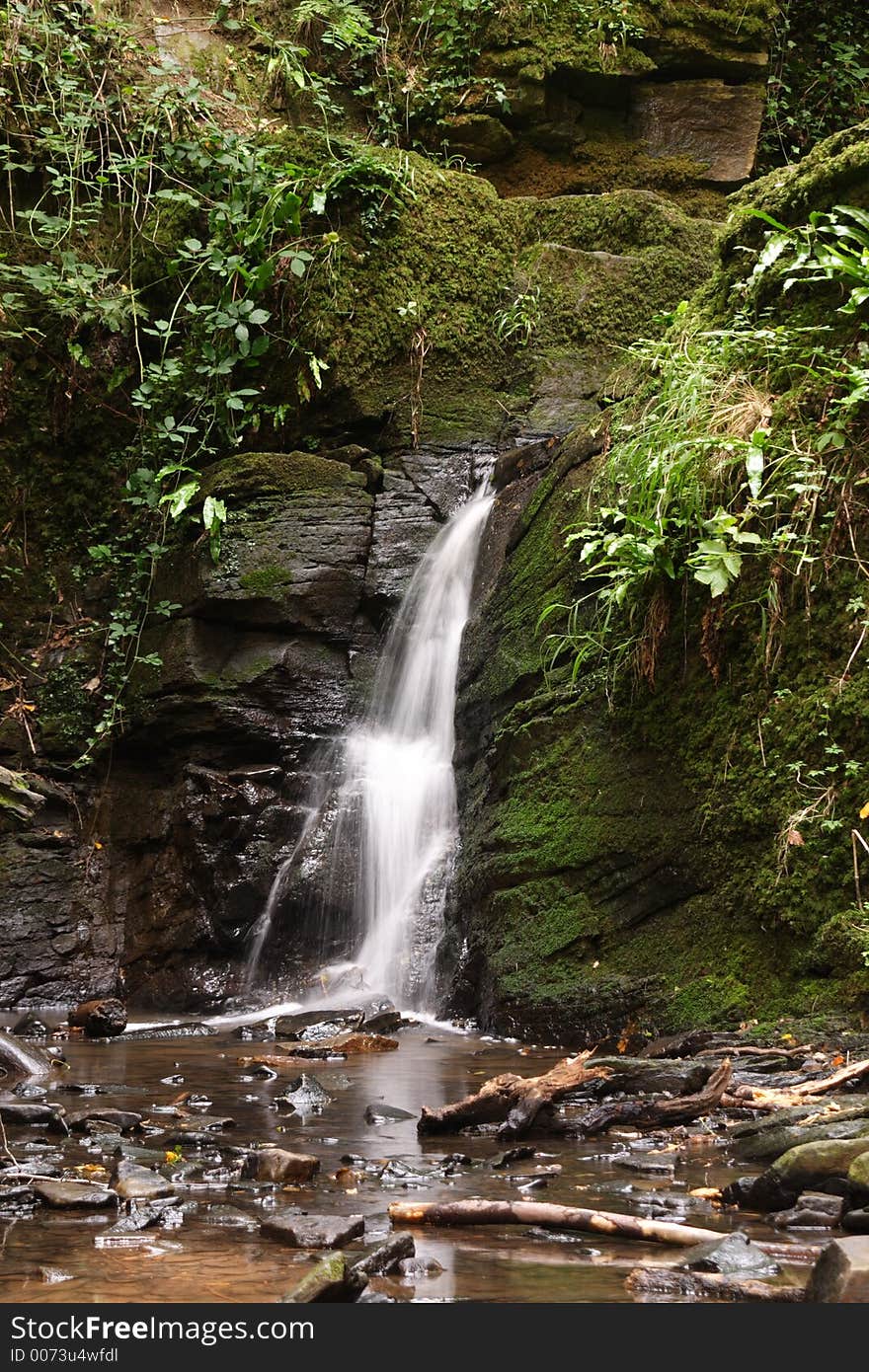 Woodland Waterfall