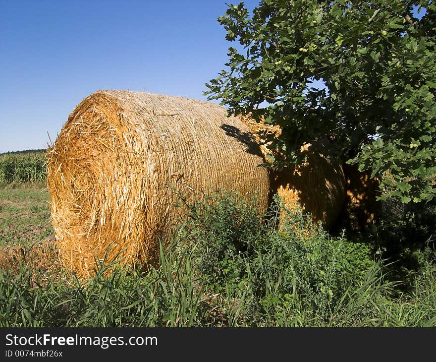 The image shows a role of straw seen in Bavaria. On the right side of the picture is an oak tree, inf front of the straw is grass and some bushes. In the background of the photo is deep blue sky.