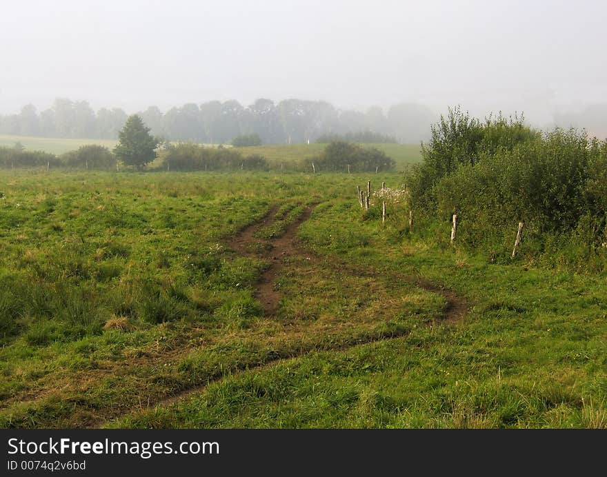 Morning farm road. Morning farm road