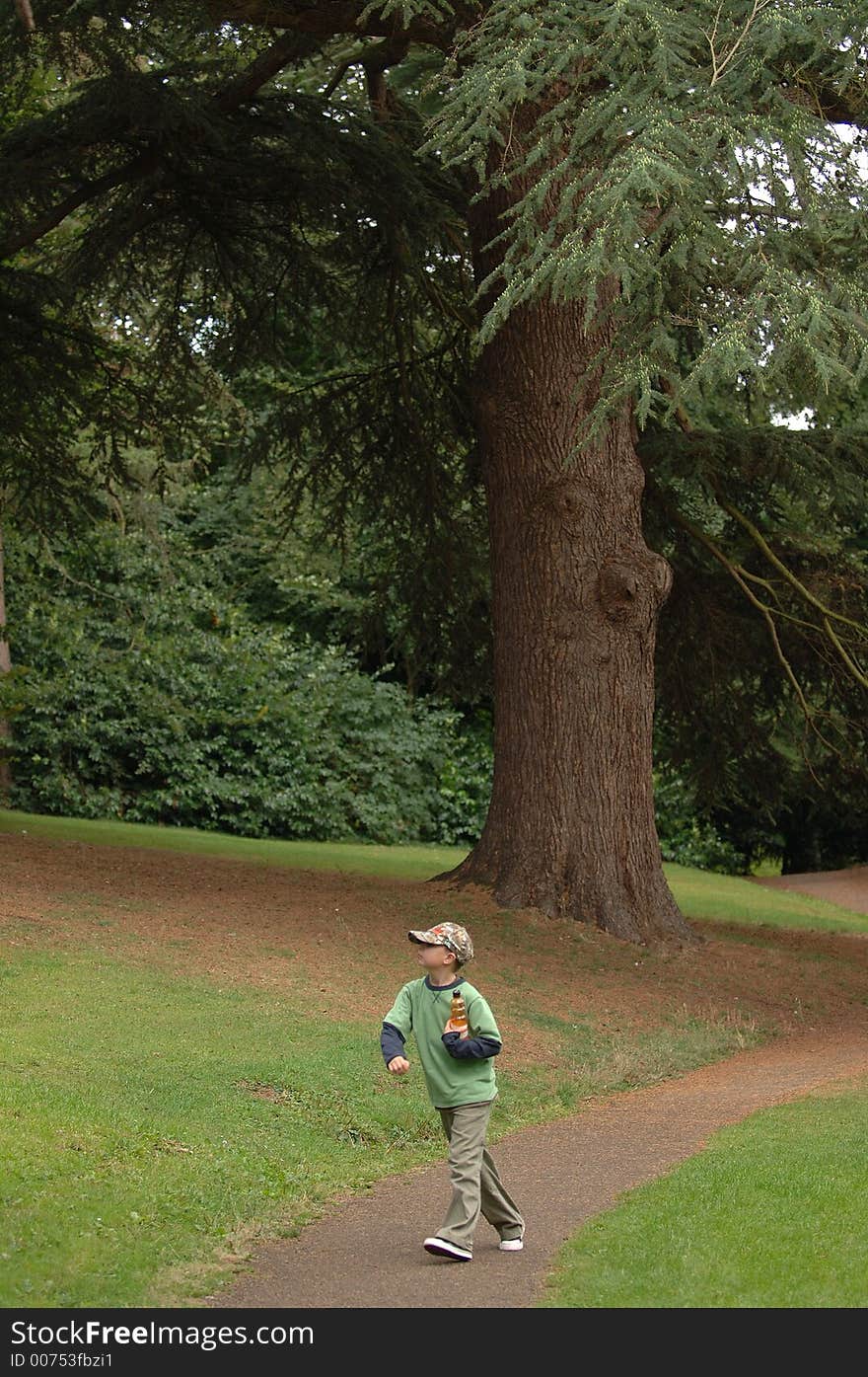 A boy walking in the park. A boy walking in the park