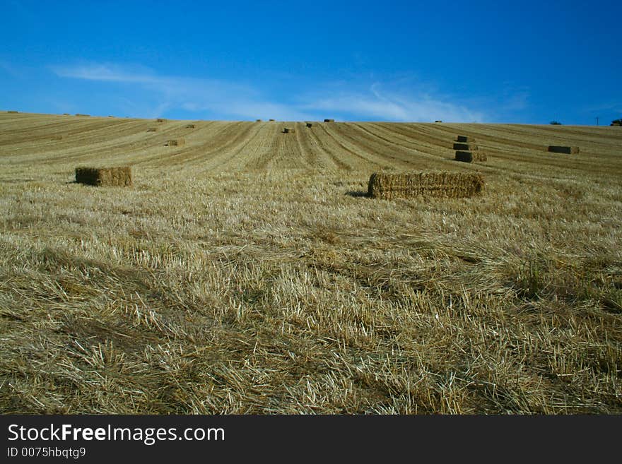 Bales of straw in a field against a blue sky. Bales of straw in a field against a blue sky