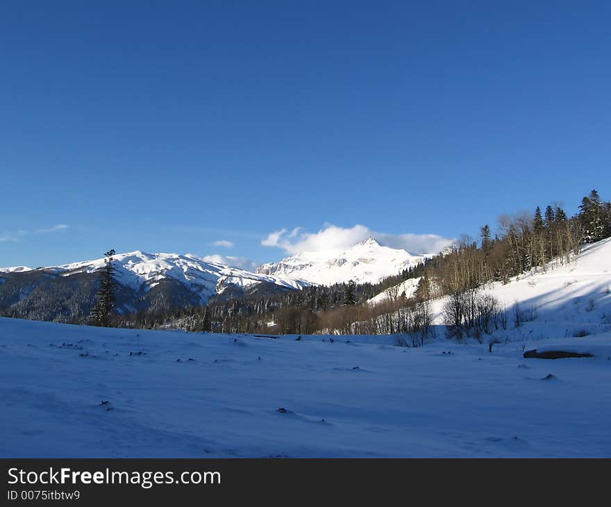 Snow and forest in the mountain. Snow and forest in the mountain