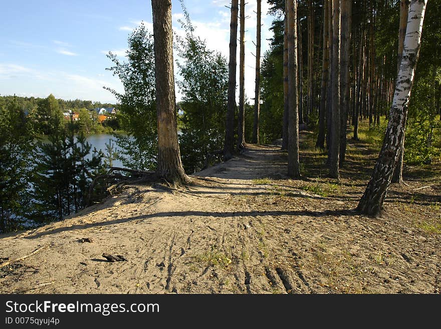 Pond shore in evening