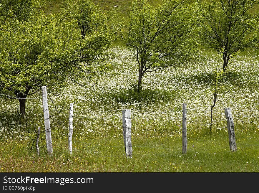 Fence 2