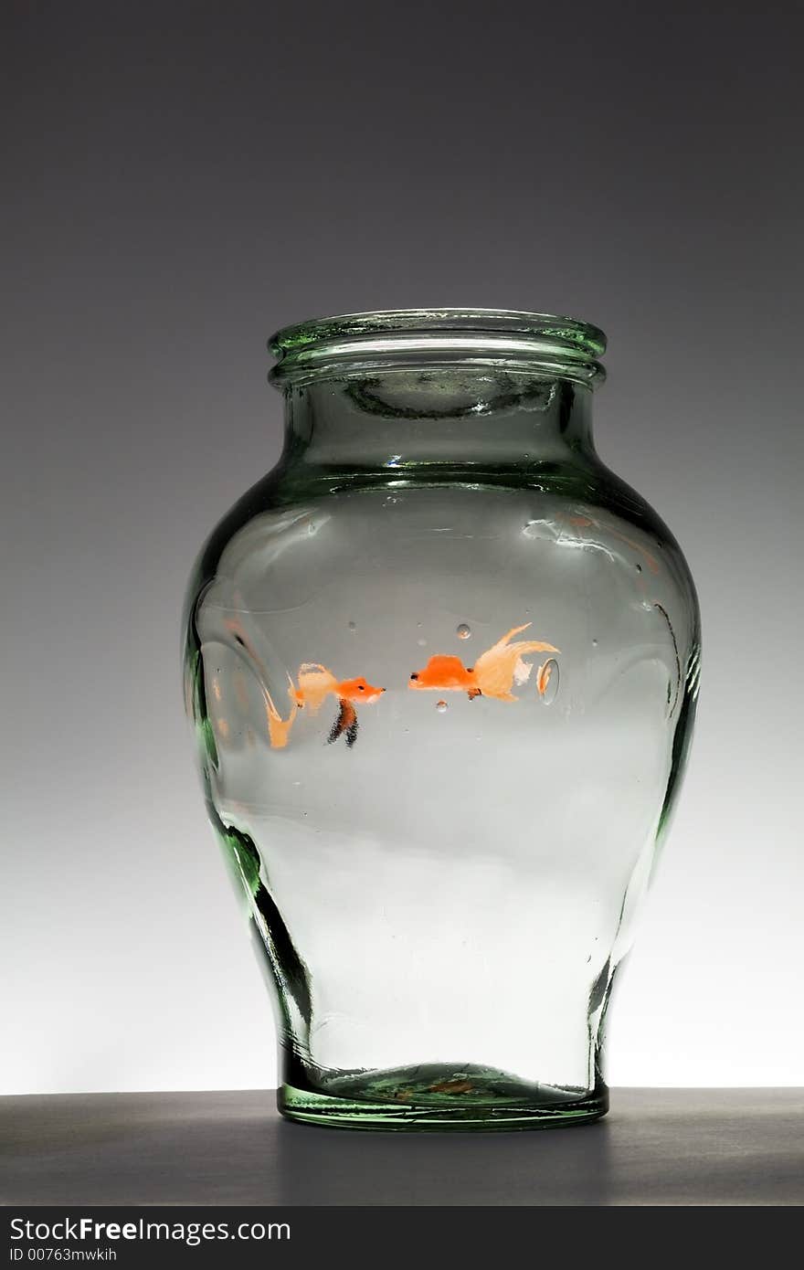 Two goldfish in a vase. Two goldfish in a vase.