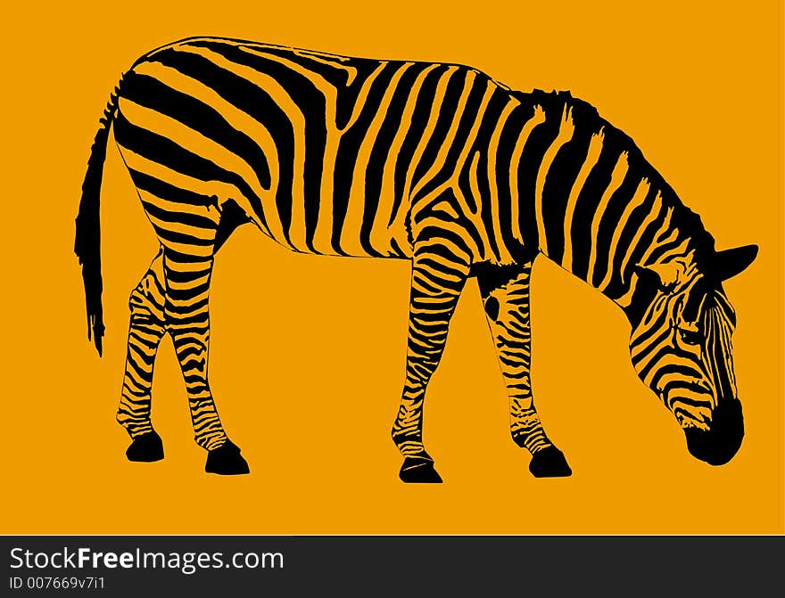 A hand drawn image of a Zebra with its head down on an orange background