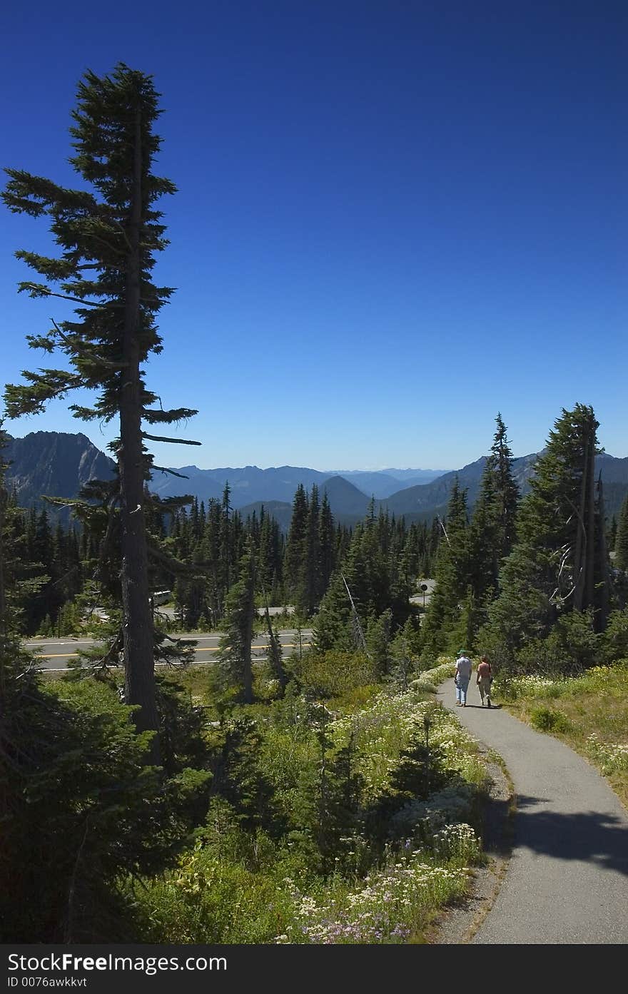 Late summer - pacific northwest