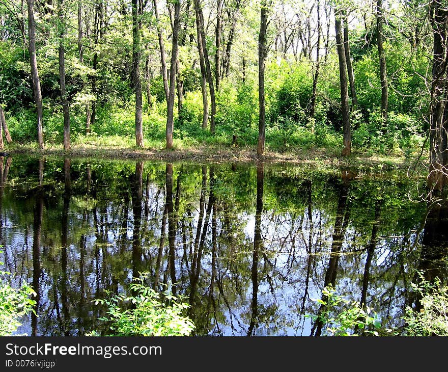 There is a lake in the forest. There is a lake in the forest