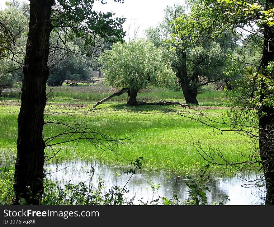 Find a silhouette of a women in the center of picture. Find a silhouette of a women in the center of picture