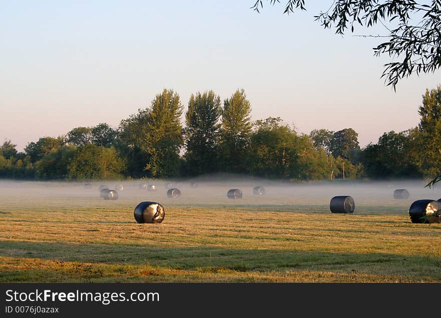 Morning Mist