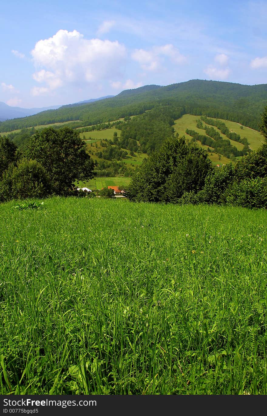 Landscape image at the mountain, with a blue sky and white clouds and grass. Landscape image at the mountain, with a blue sky and white clouds and grass