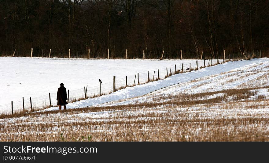 Waling in the landscape   in  winter. Waling in the landscape   in  winter