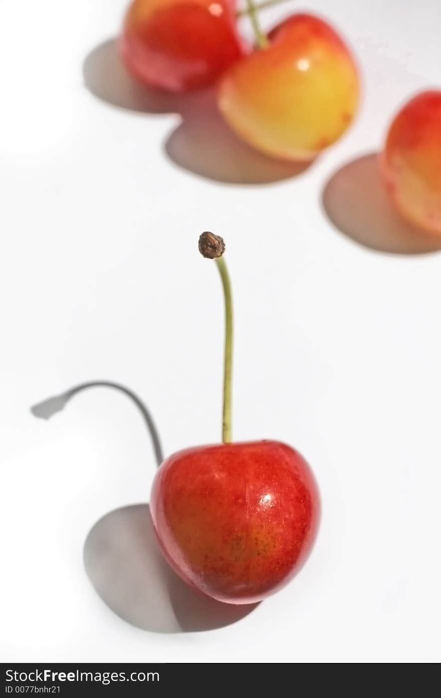 Cherries on white background