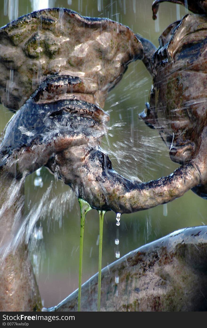 Mermaid Waterfall Detail