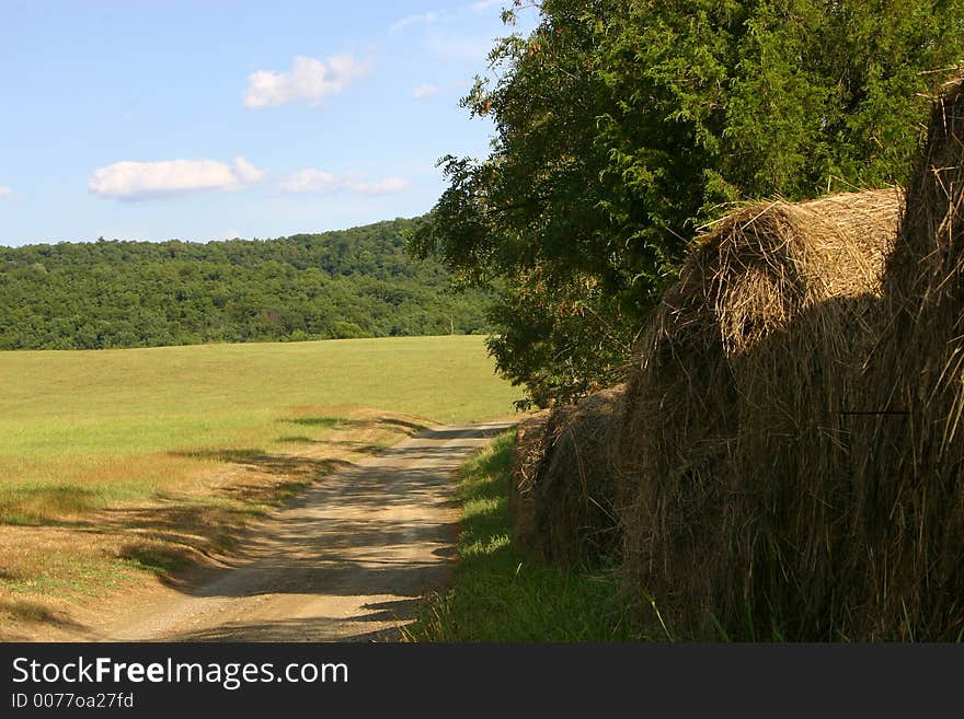 Round bales of hay beside a shaded country lane