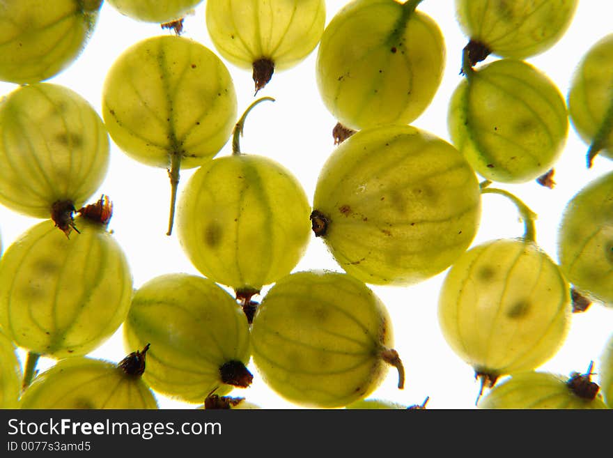 Green gooseberry, studio light. Green gooseberry, studio light