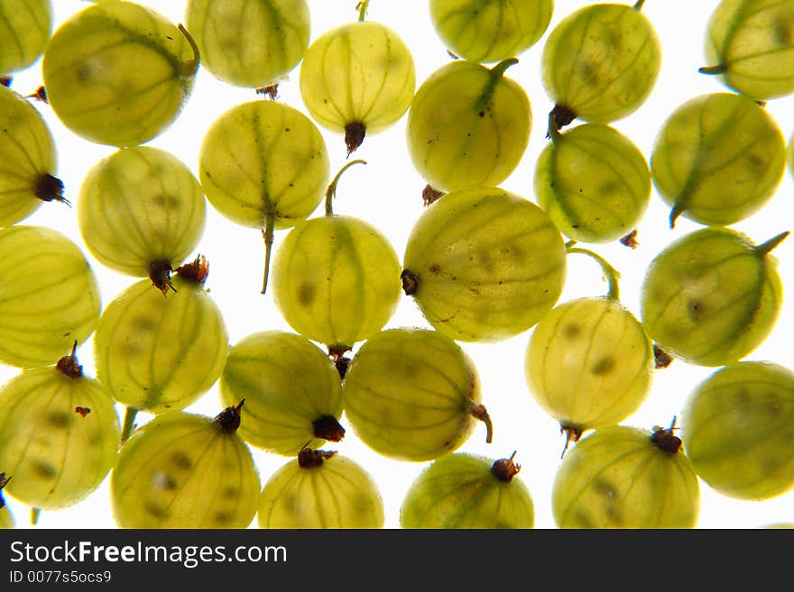 Green gooseberry, studio light. Green gooseberry, studio light