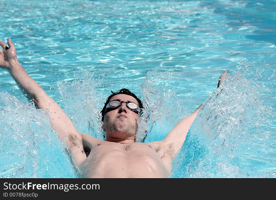 Swimmier on his back swimming papillon. Swimmier on his back swimming papillon