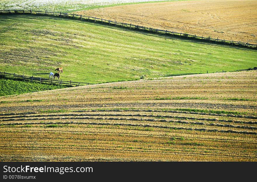 Rural Landscape