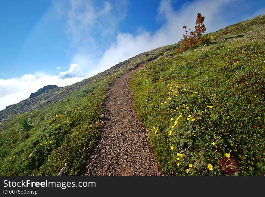 Trail in the mountains