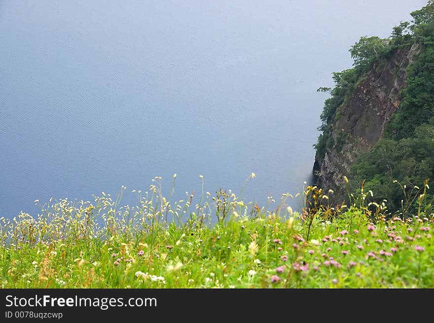 The green grass on the dark-blue water background and downhill. The green grass on the dark-blue water background and downhill