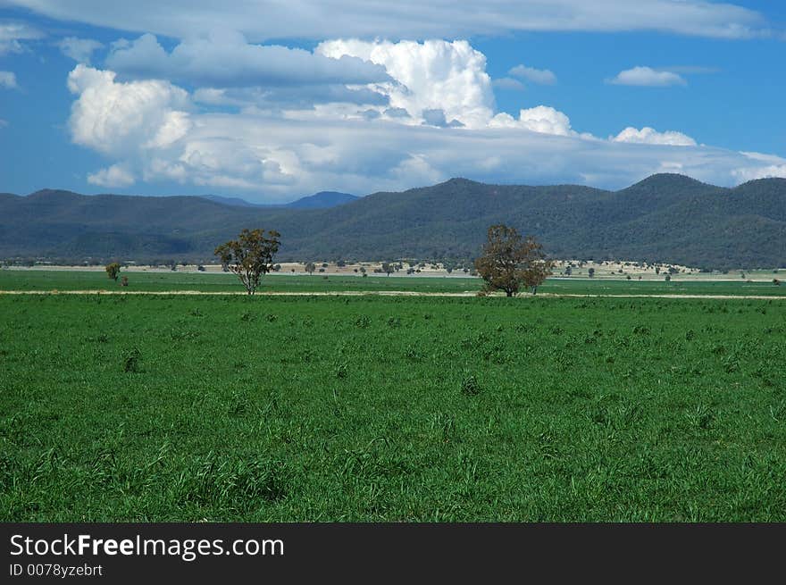 Green field, blue sky and white clouds. Green field, blue sky and white clouds