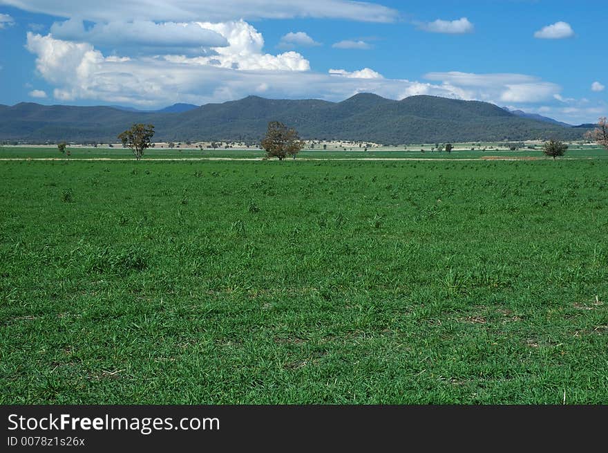 Green field, blue sky and white clouds. Green field, blue sky and white clouds