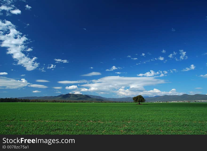 Green field, blue sky and white clouds. Green field, blue sky and white clouds