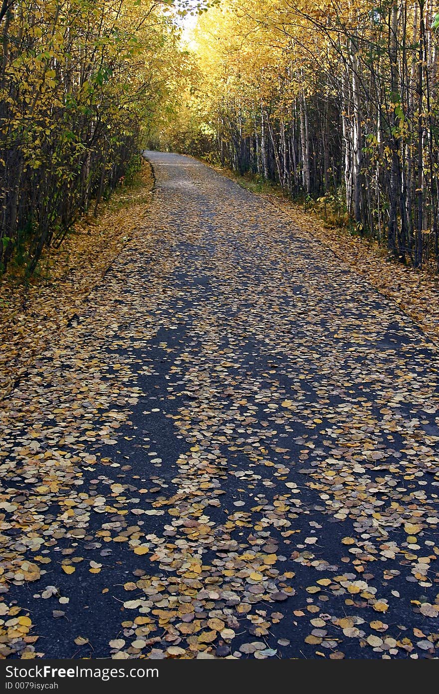 At the nord of Russia in autumn season. At the nord of Russia in autumn season